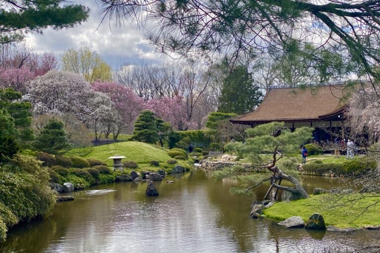 The Cherry Blossom Festival in Philadelphia - Philadelphia Beautiful